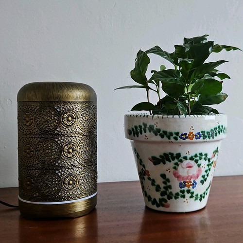 Salking decorative gold - salking,